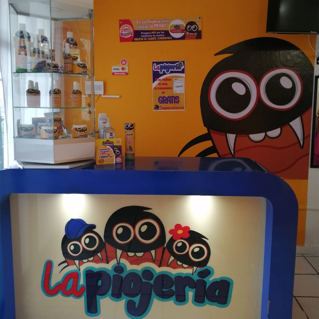 Experto para eliminar piojos en CDMX